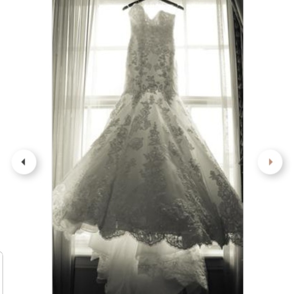 Enzoani Wedding Dress > Style: "Jenny" - Picture 5 of 8